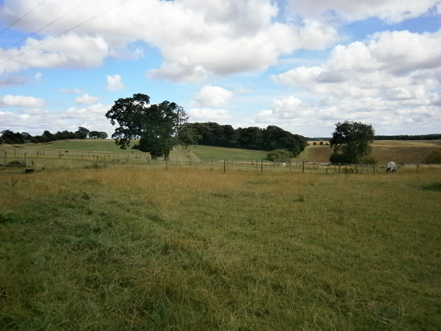 chandler manor farm